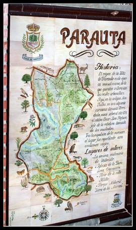 Ilustración de Parauta