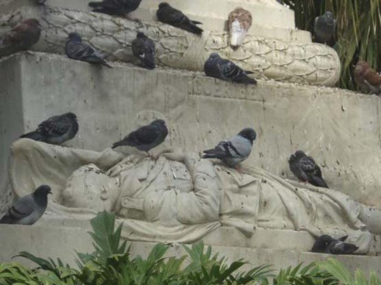 Ilustración de El Parque de Málaga, una visión diferente