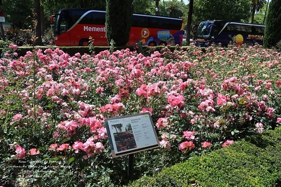 Ilustración de El Parque de Málaga, una visión diferente