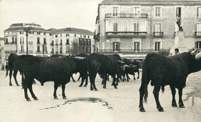 Ilustración de El Parque de Málaga, una visión diferente
