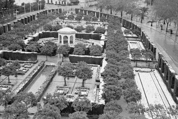 Ilustración de El Parque de Málaga, una visión diferente