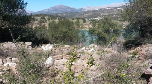 En 1984 se publicó “El poblado calcolítico del Cerro de Capellanía”