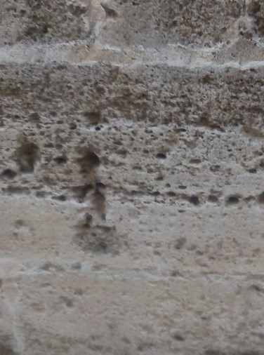 Patio de los Naranjos