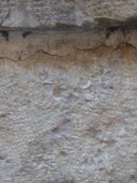 Puerta del Sagrario