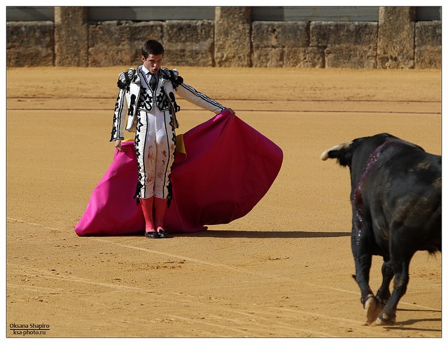 Ilustración de Ronda