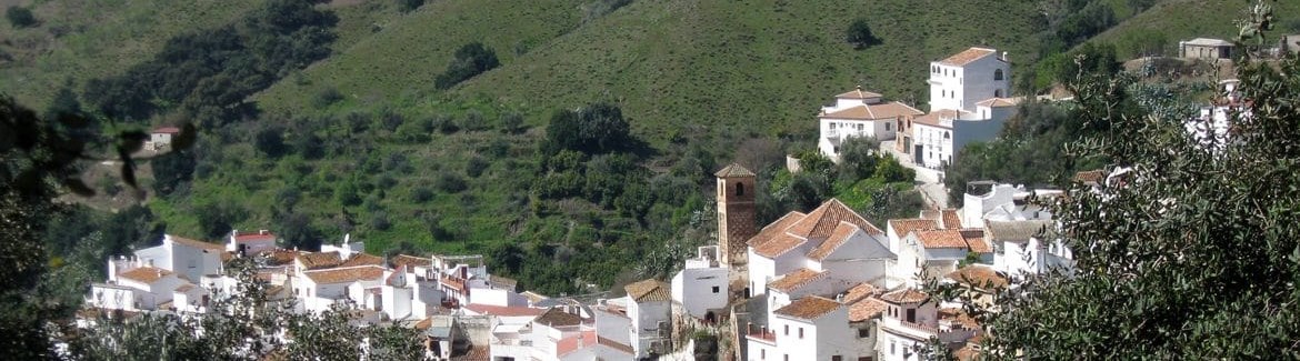 Ilustración de Salares