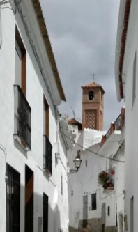 Ilustración de Salares