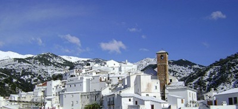 Ilustración de Salares
