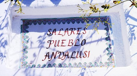 Ilustración de Salares