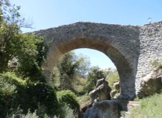 Ilustración de Salares