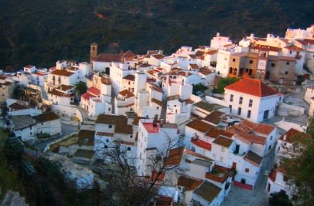 Ilustración de Salares
