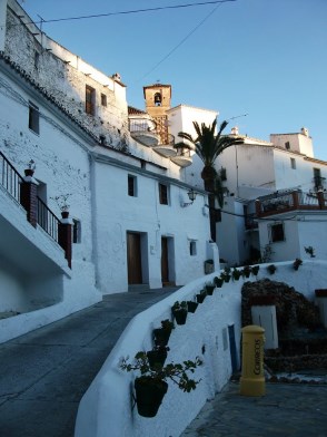 Ilustración de Salares