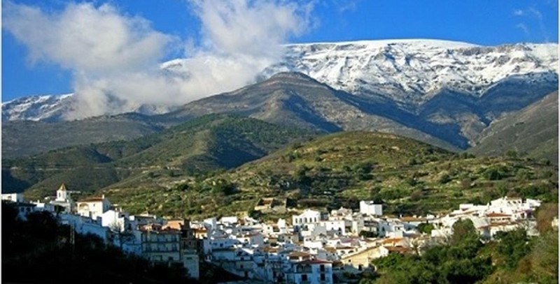 Sedella