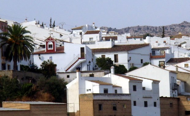 Serrato