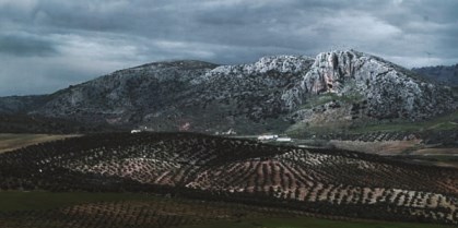 Está cubierto de matorral y pastizal, y algunas encinas