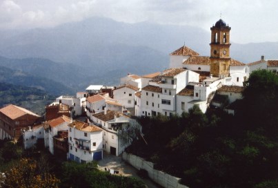 Ilustración de Serrato