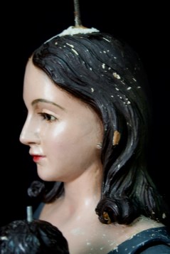 Ilustración de Serrato