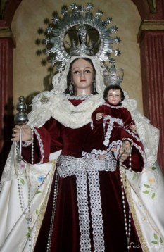 Ilustración de Serrato