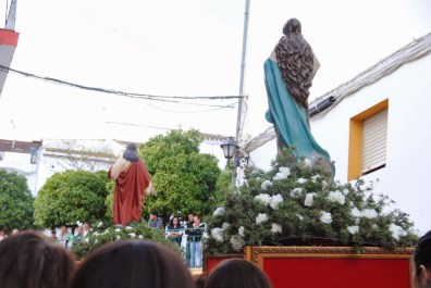 Ilustración de Serrato
