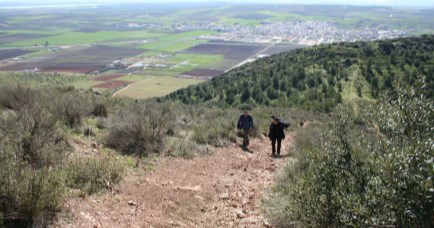 Ilustración de Sierra de Yeguas