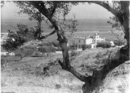 Ilustración de Torremolinos