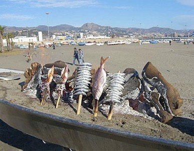 Ilustración de Torremolinos