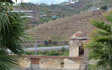 Entonces, los molinos “de grano o de aceite”, fueron esenciales