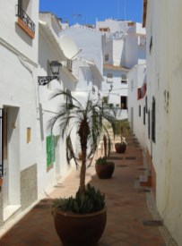 Ilustración de Torrox