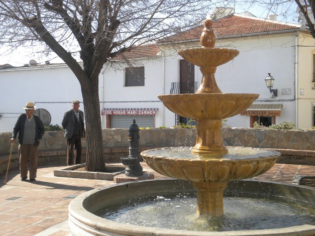 La rodean olmos