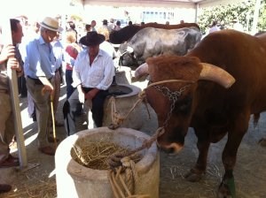 Ilustración de Villanueva de Tapia