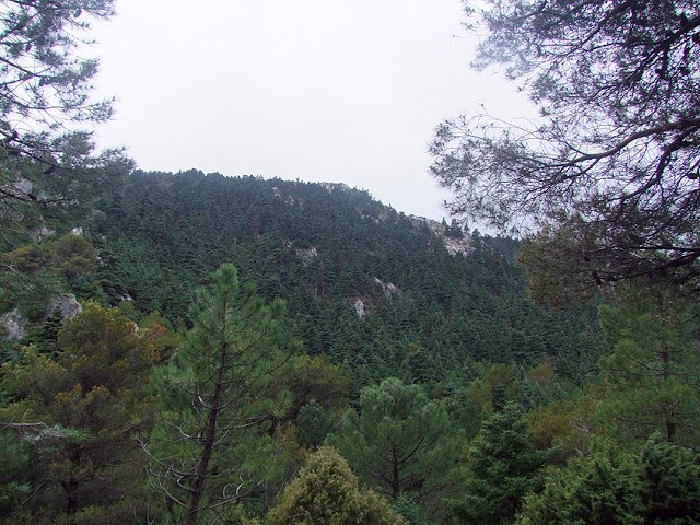 Tajo de Alberca o de los Artilleros