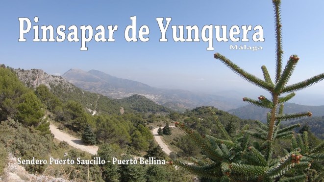 Ilustración de Yunquera